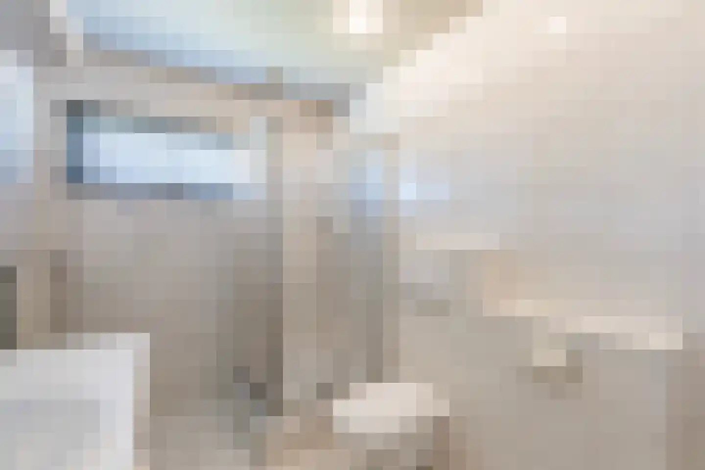 Richtershof 7 Dalfsen thumbnail 27