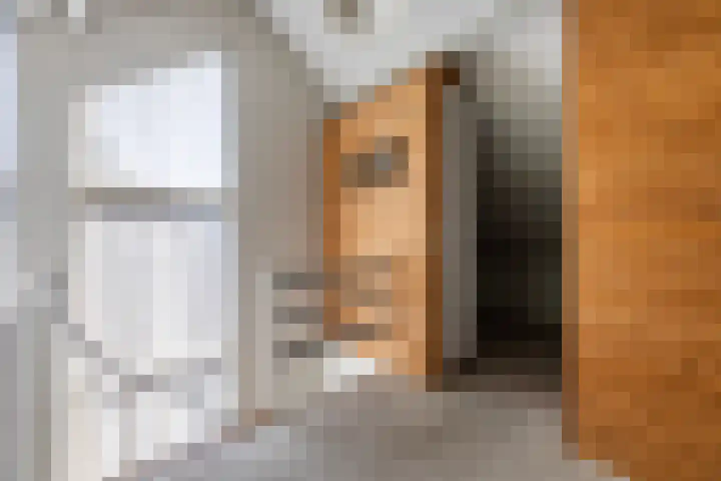 Richtershof 7 Dalfsen thumbnail 28