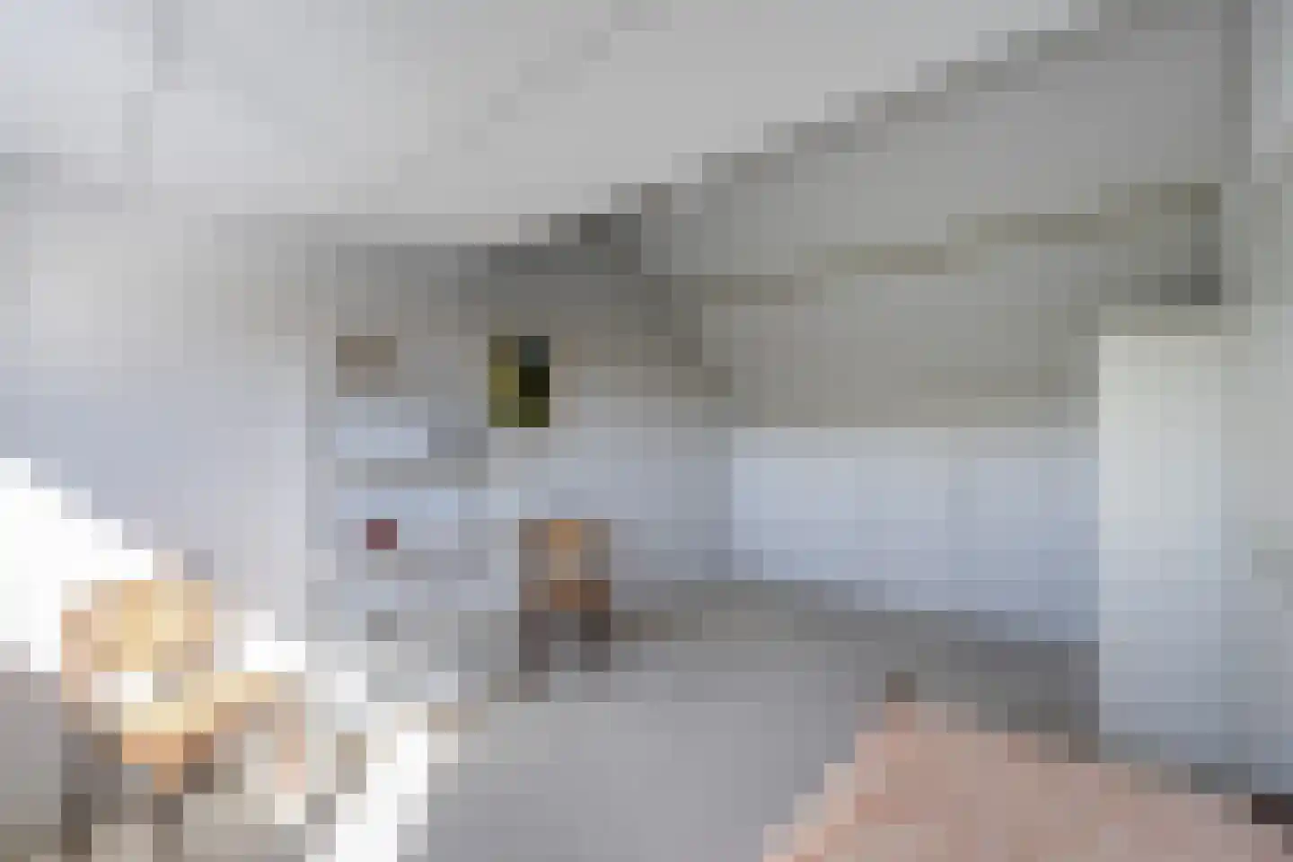 Richtershof 7 Dalfsen thumbnail 30