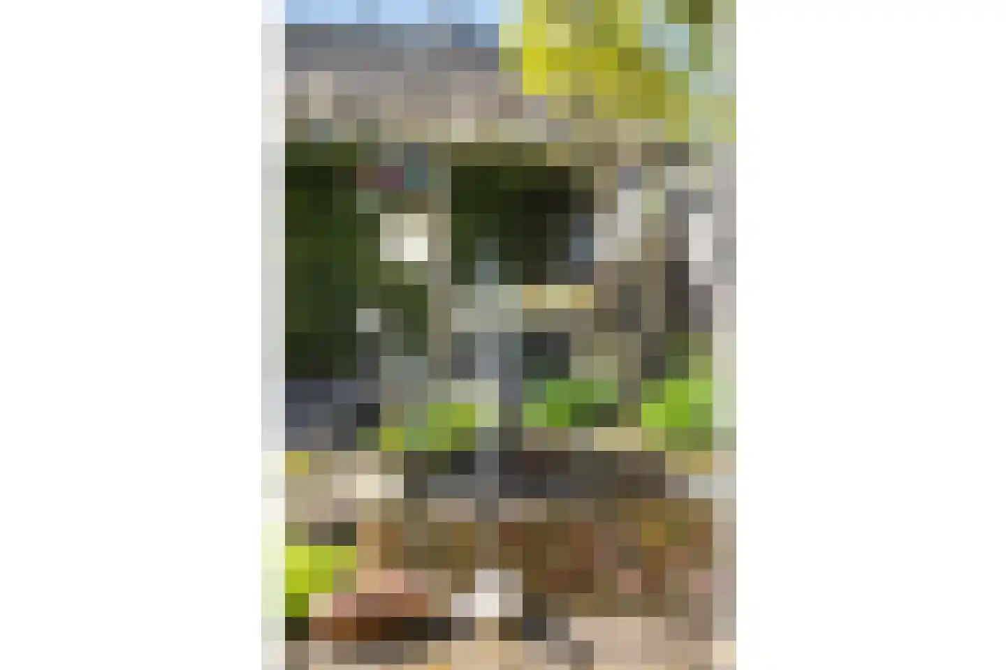 Richtershof 7 Dalfsen thumbnail 33