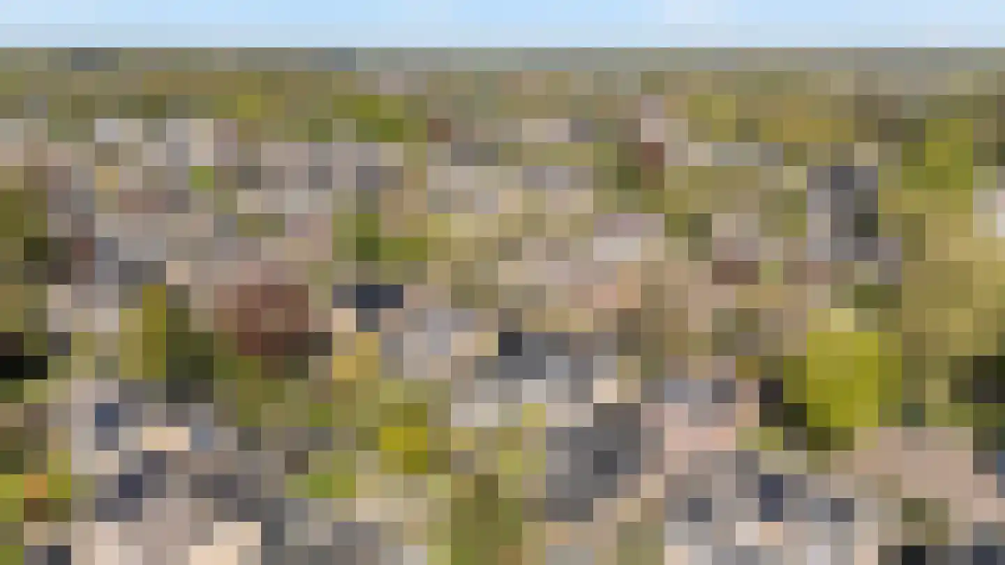 Richtershof 7 Dalfsen thumbnail 35