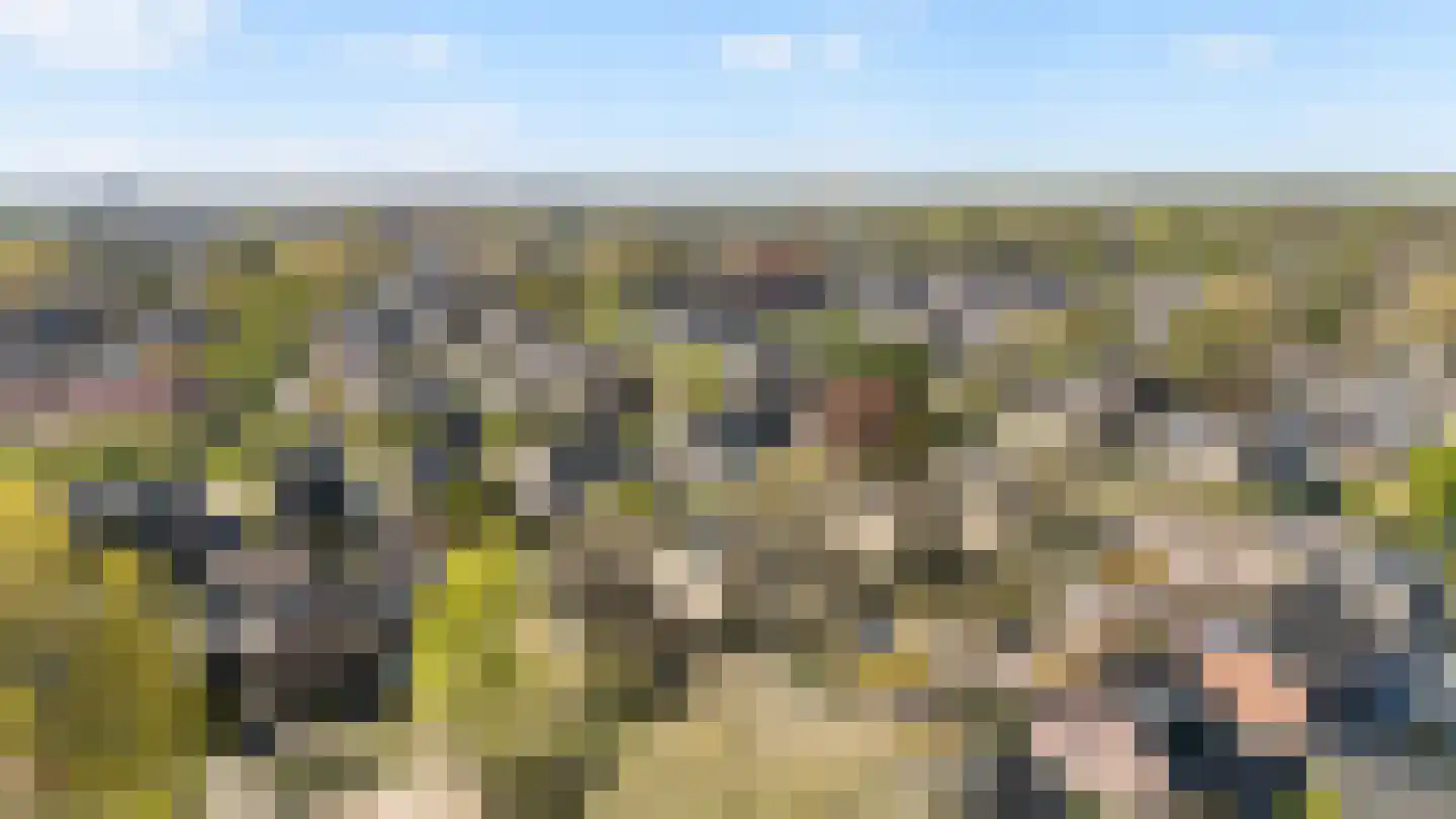 Richtershof 7 Dalfsen thumbnail 36