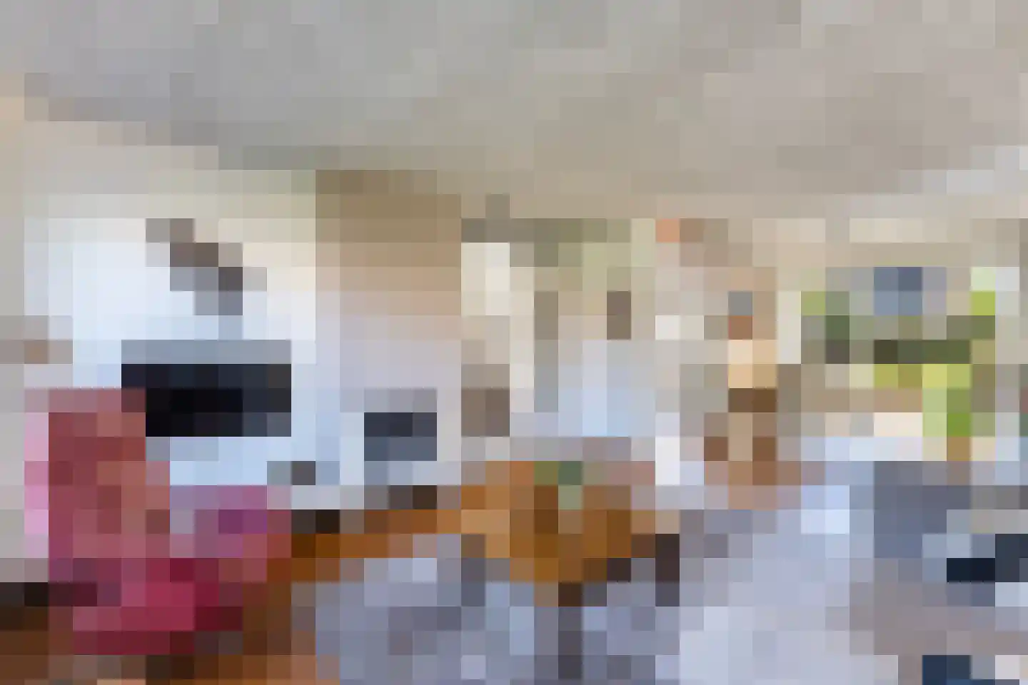 Richtershof 7 Dalfsen thumbnail 8