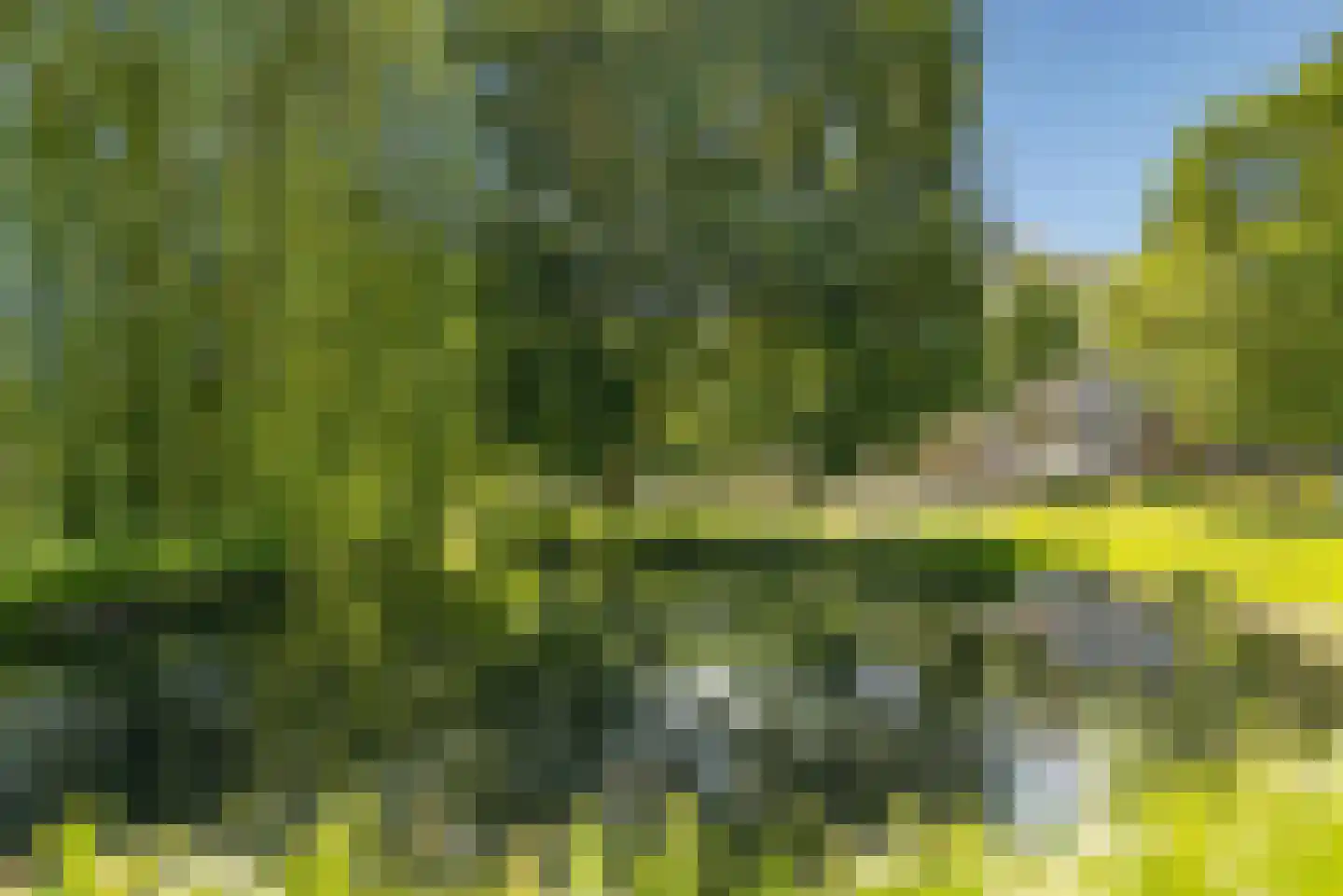 Richterslaan 41 Nieuwegein thumbnail 39