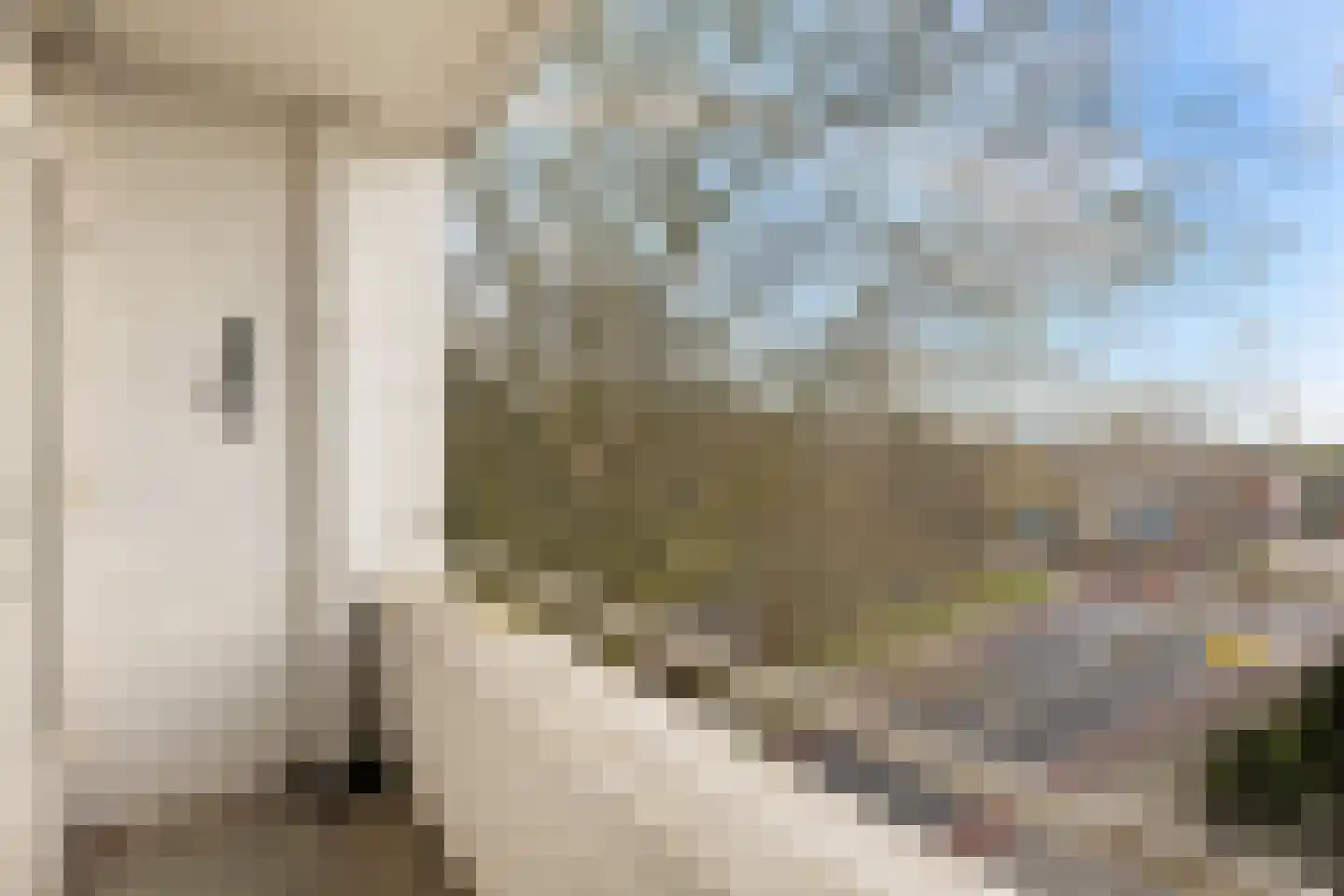 Richterslaan 47 Nieuwegein thumbnail 20