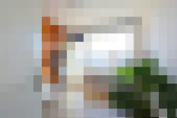 Richterslaan 51 Nieuwegein thumbnail 21