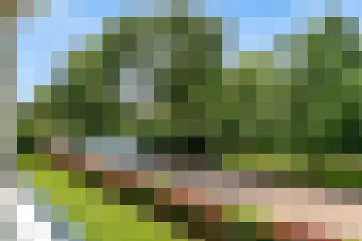 Richterslaan 75 Nieuwegein thumbnail 23