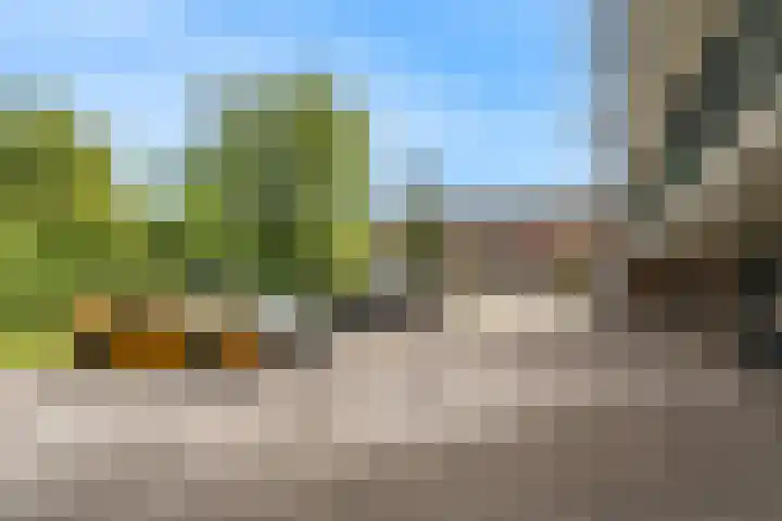 Richterslaan 75 Nieuwegein thumbnail 24
