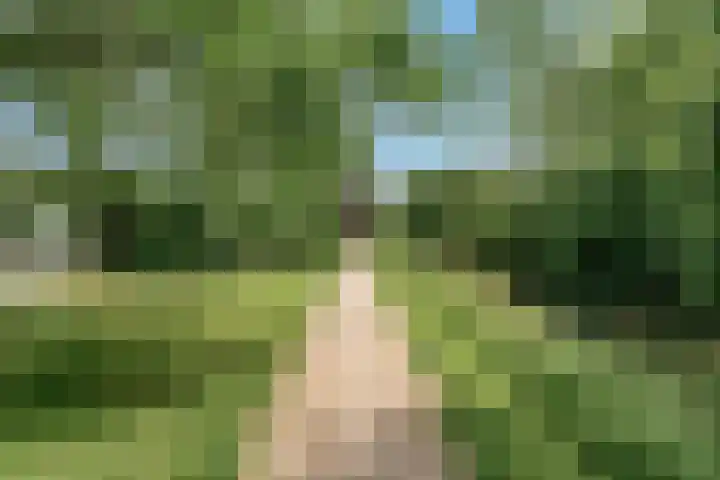 Richterslaan 75 Nieuwegein thumbnail 32