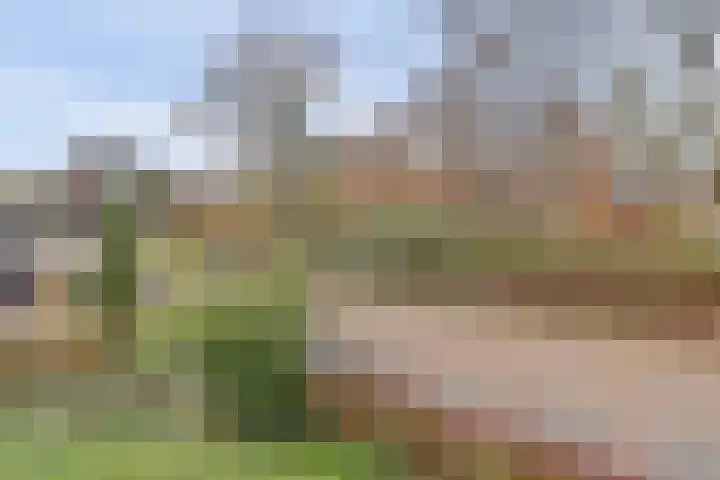 Richterslaan 81 Nieuwegein thumbnail 34