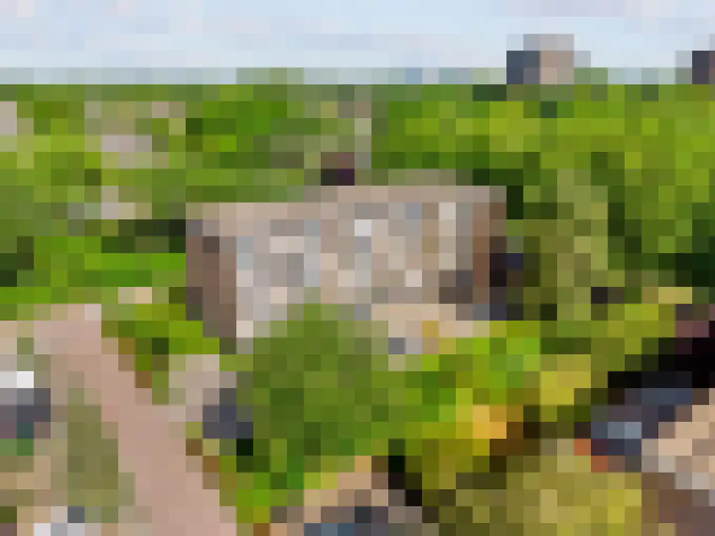 Richterslaan 83 Nieuwegein thumbnail 33