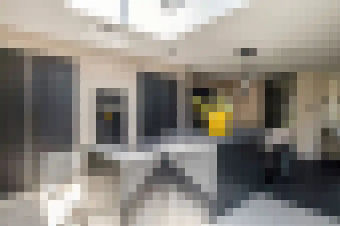 Richterstraat 21 Losser thumbnail 12