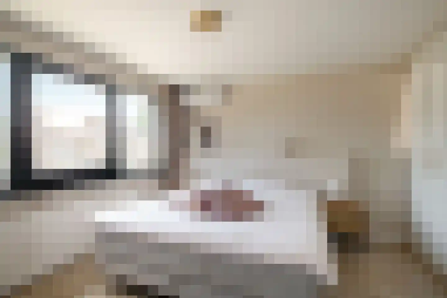 Richterstraat 21 Losser thumbnail 18