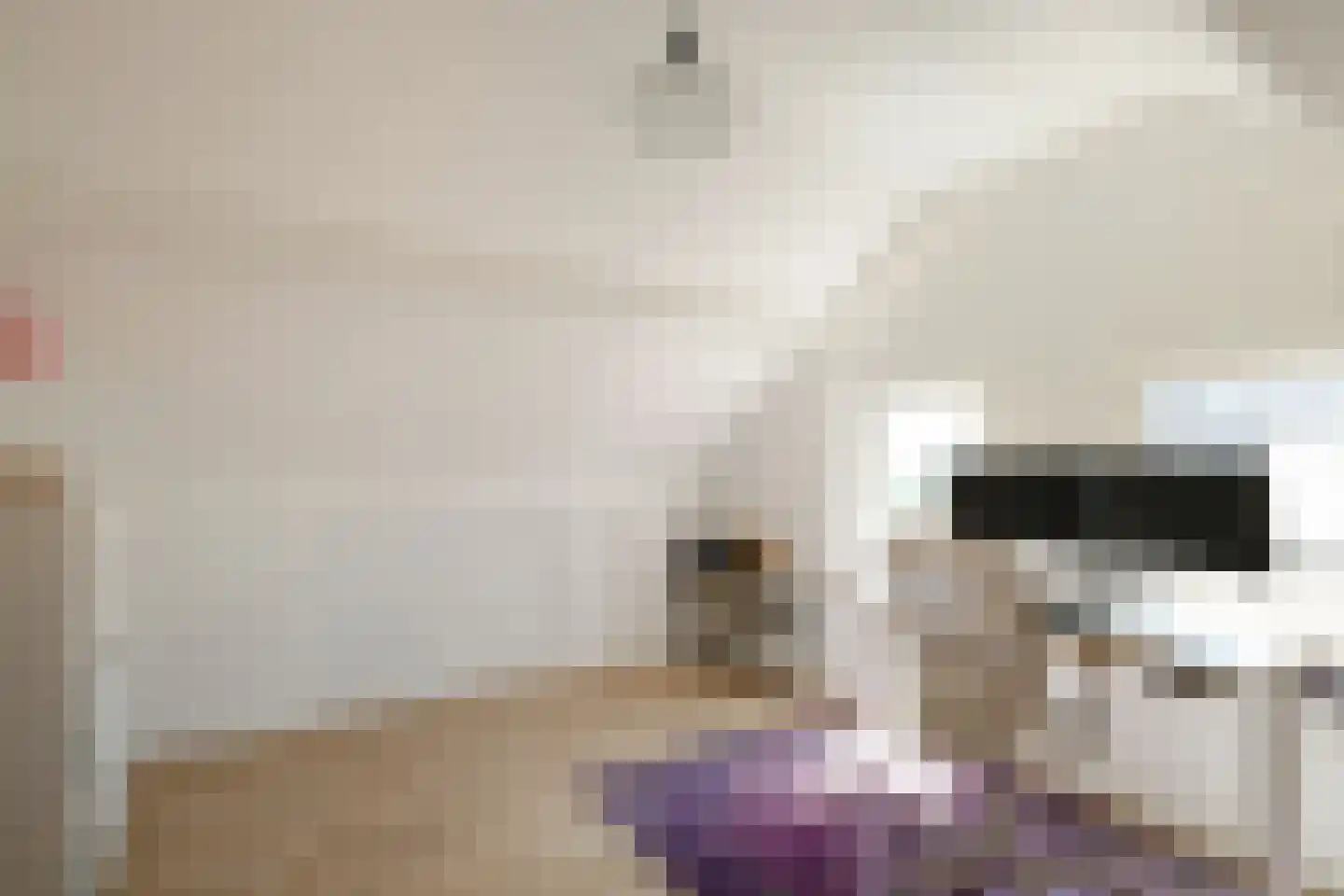 Richterstraat 21 Losser thumbnail 30