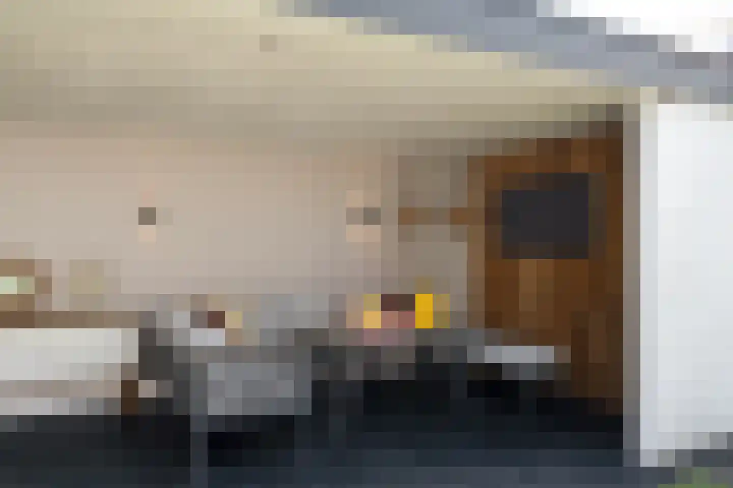 Richterstraat 21 Losser thumbnail 37