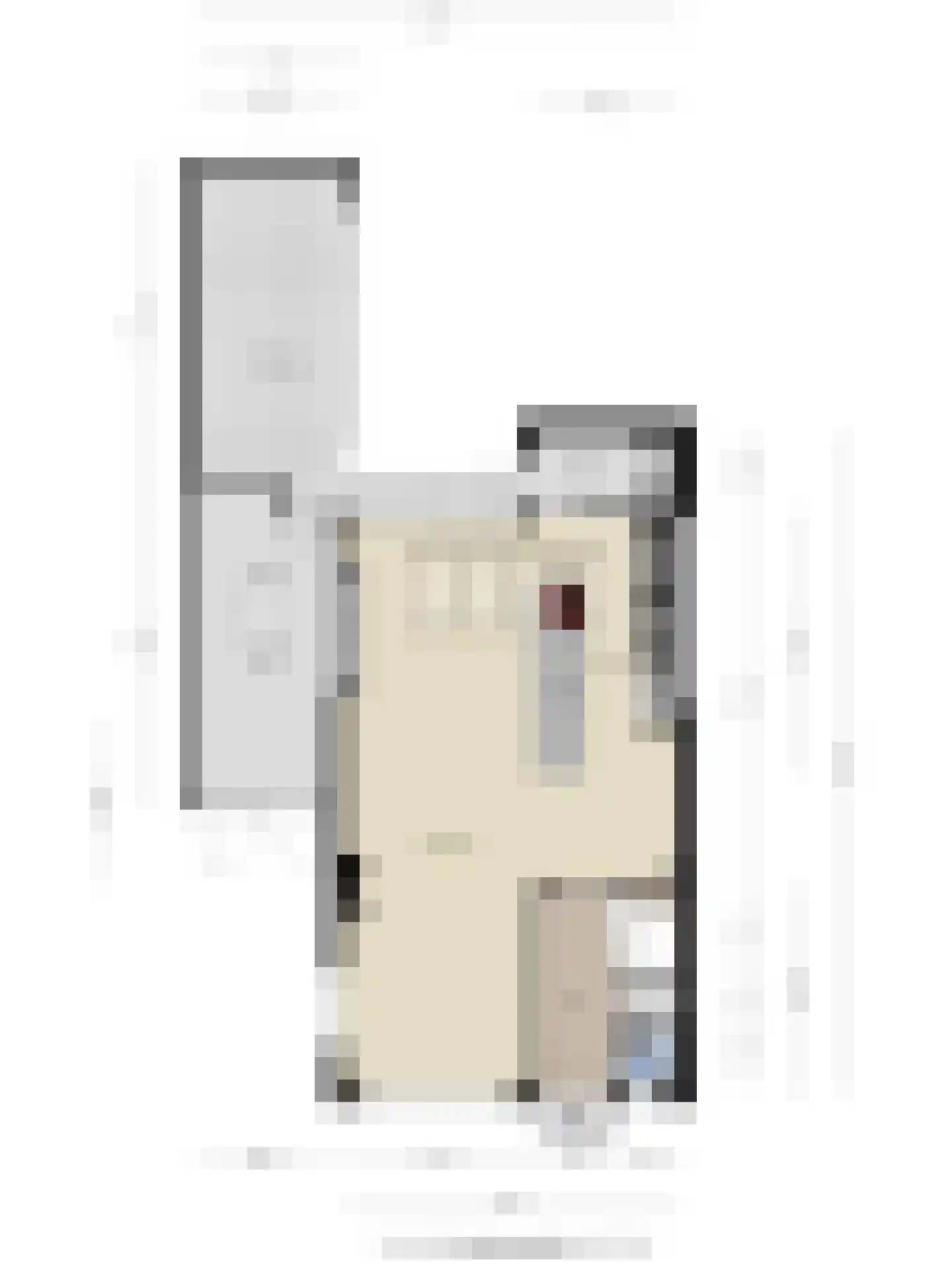 Richterstraat 21 Losser thumbnail 40