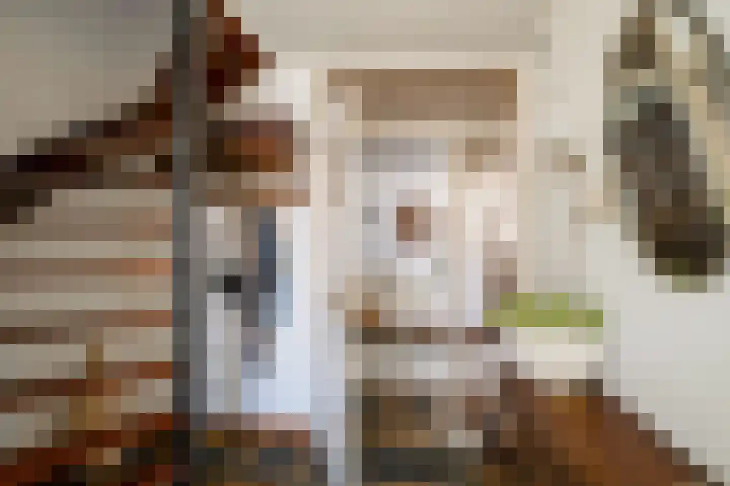 Richterstraat 35 Losser thumbnail 11