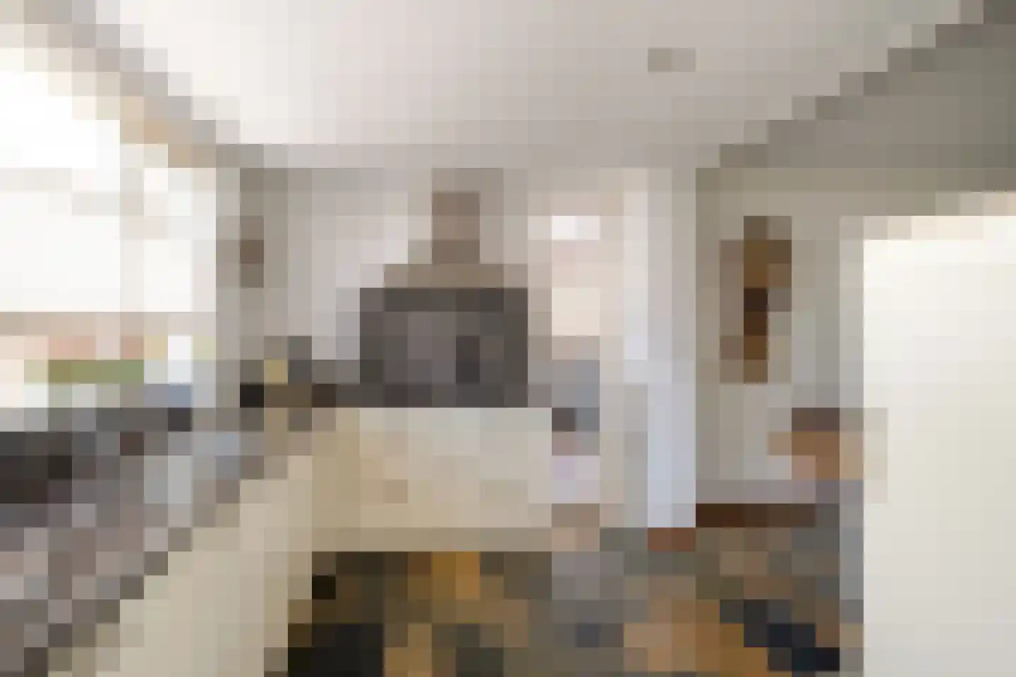 Richterstraat 35 Losser thumbnail 19