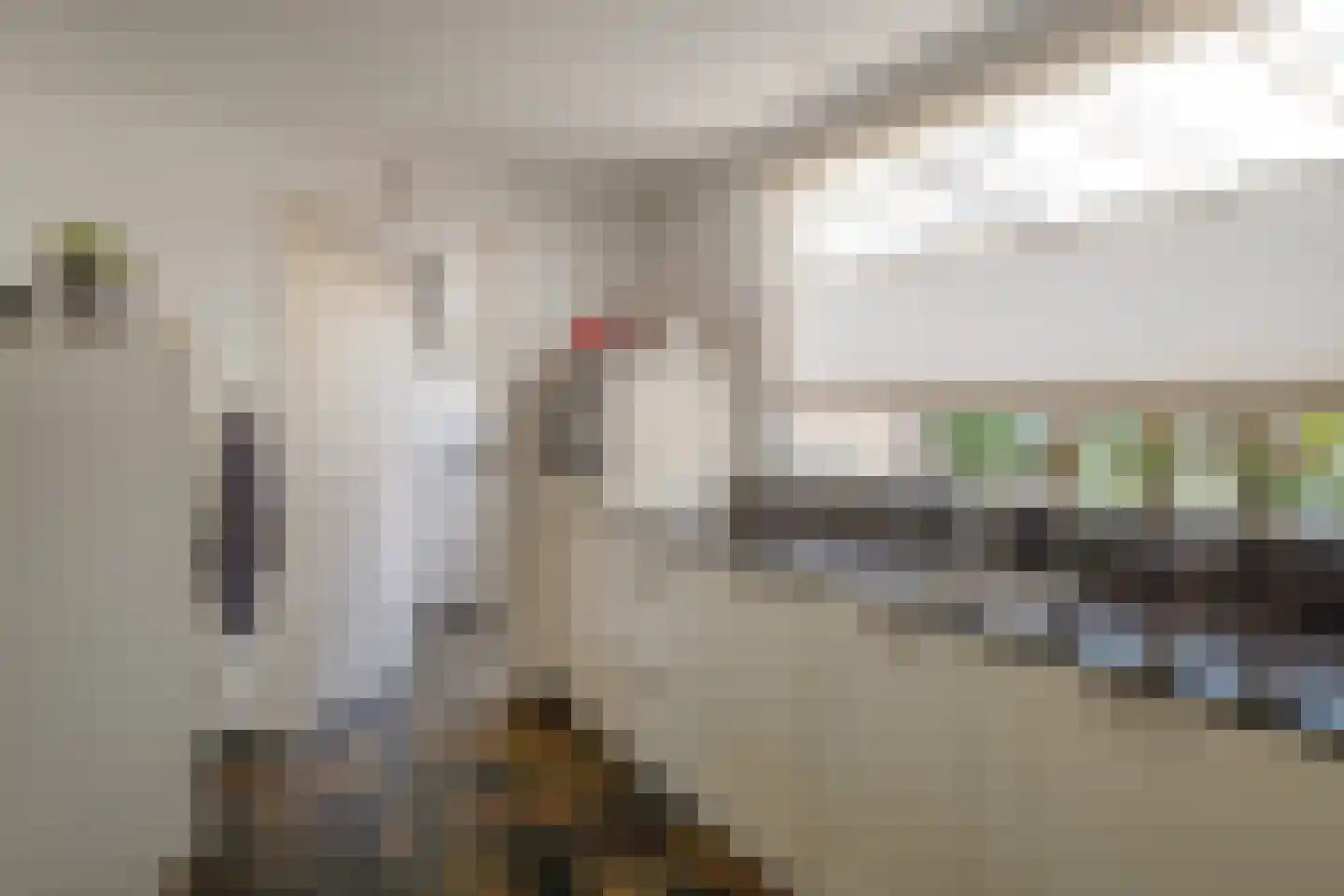 Richterstraat 35 Losser thumbnail 20