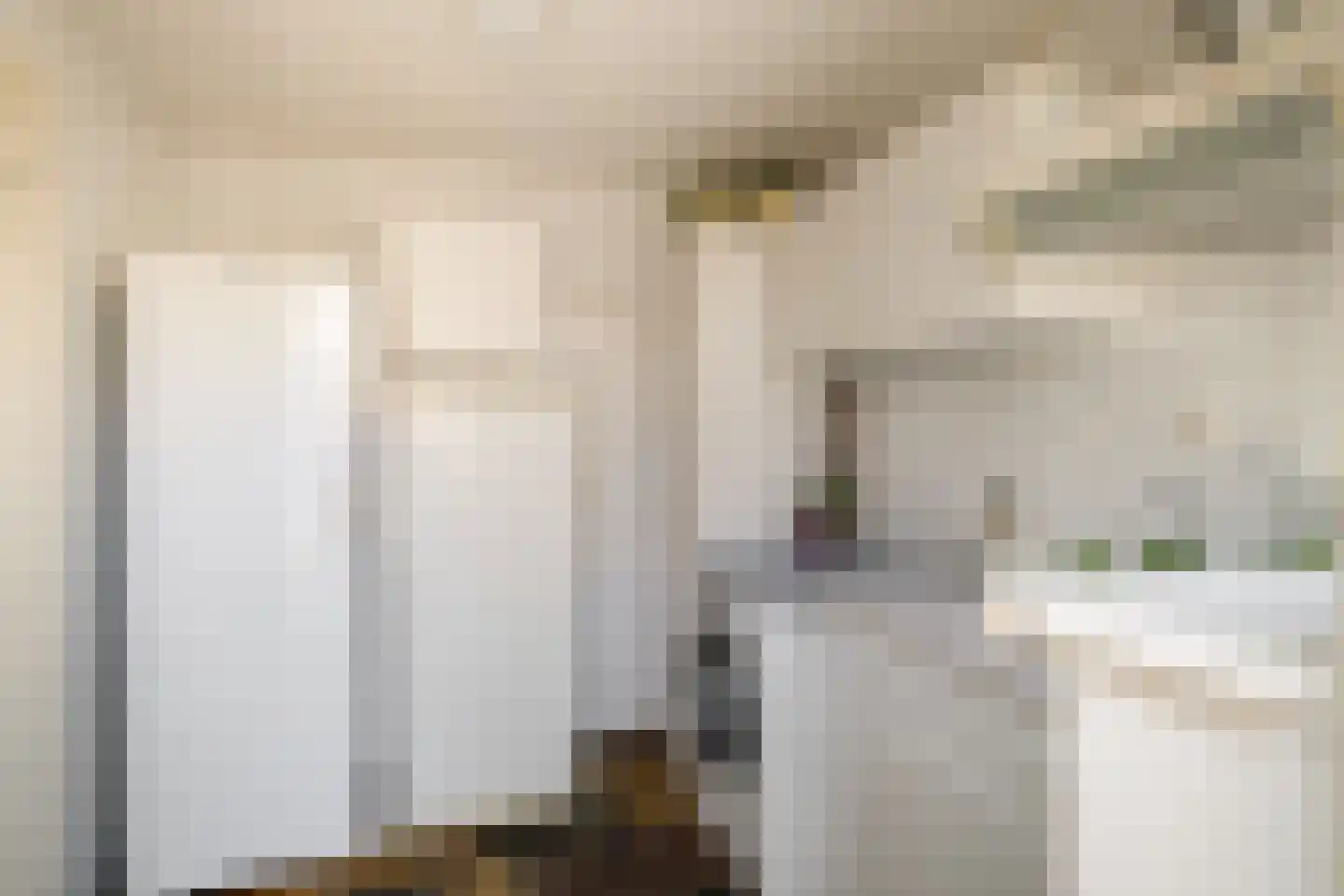 Richterstraat 35 Losser thumbnail 22