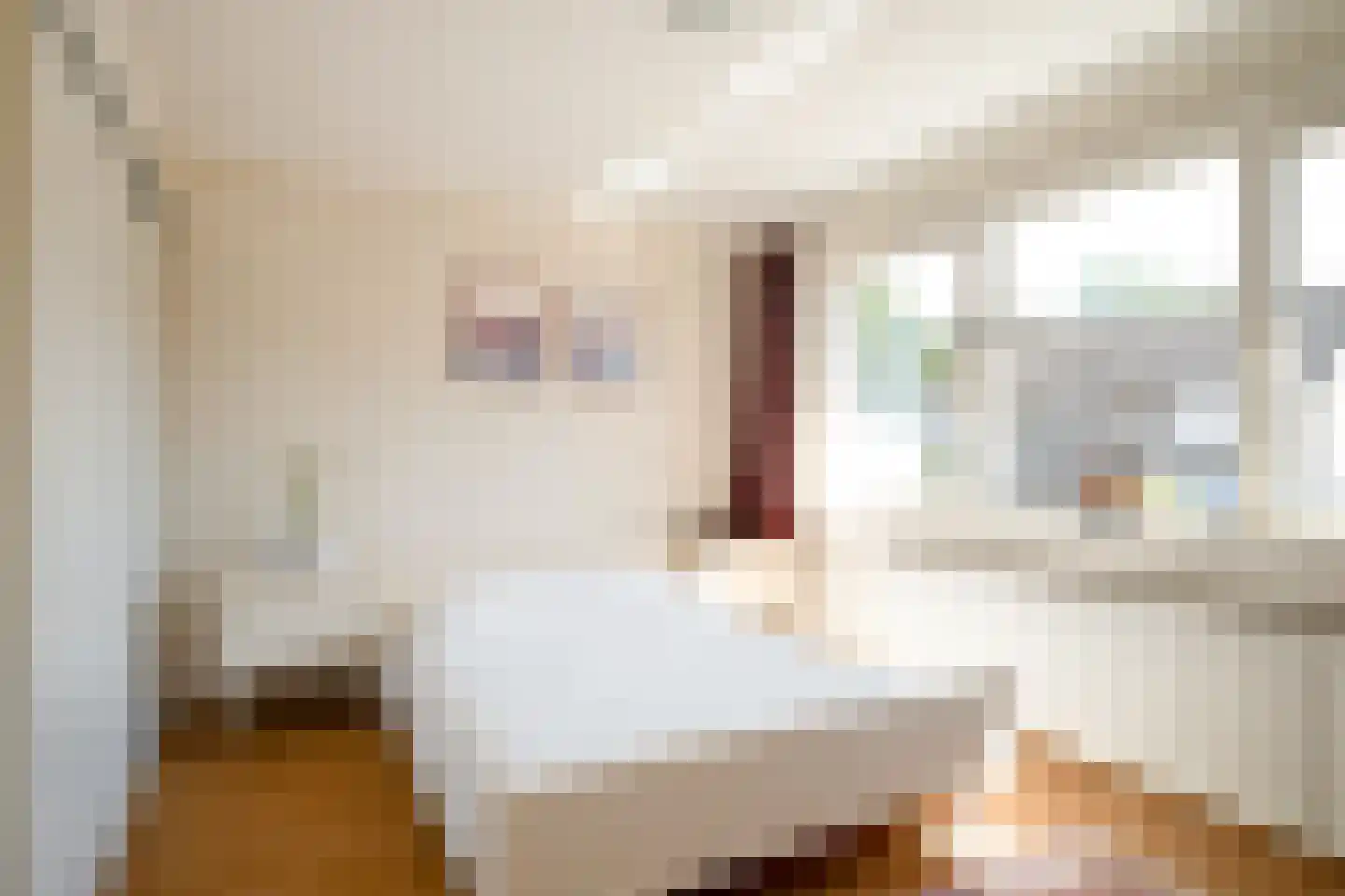 Richterstraat 35 Losser thumbnail 27