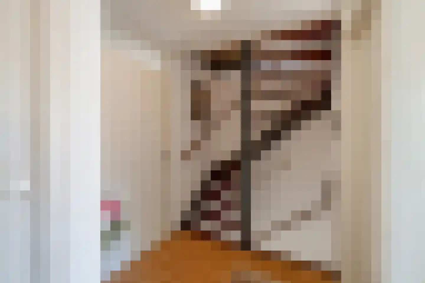 Richterstraat 35 Losser thumbnail 34