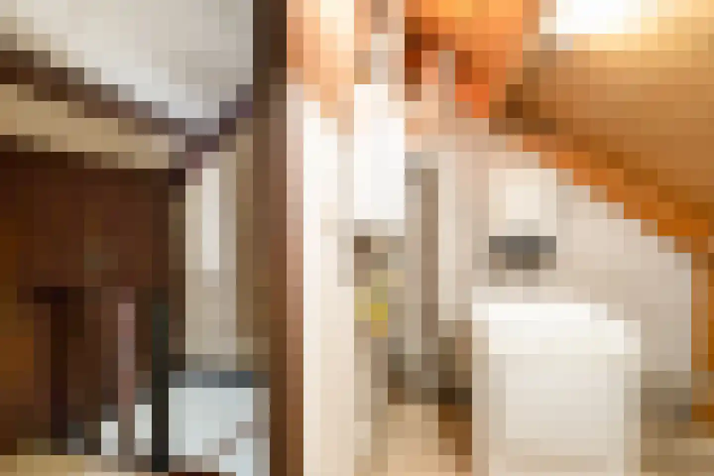 Richterstraat 35 Losser thumbnail 35