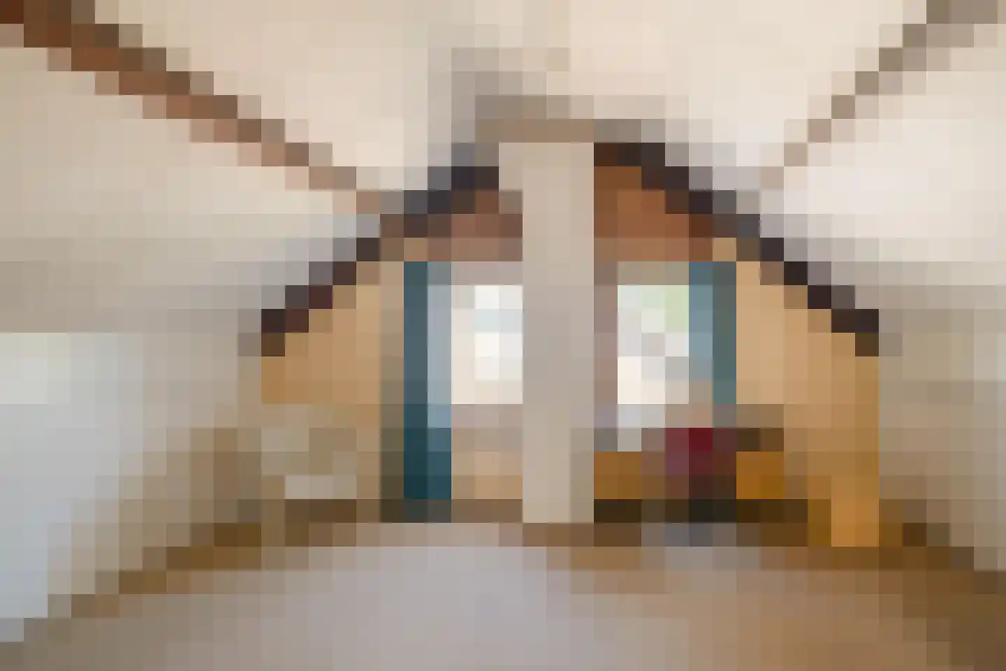 Richterstraat 35 Losser thumbnail 38