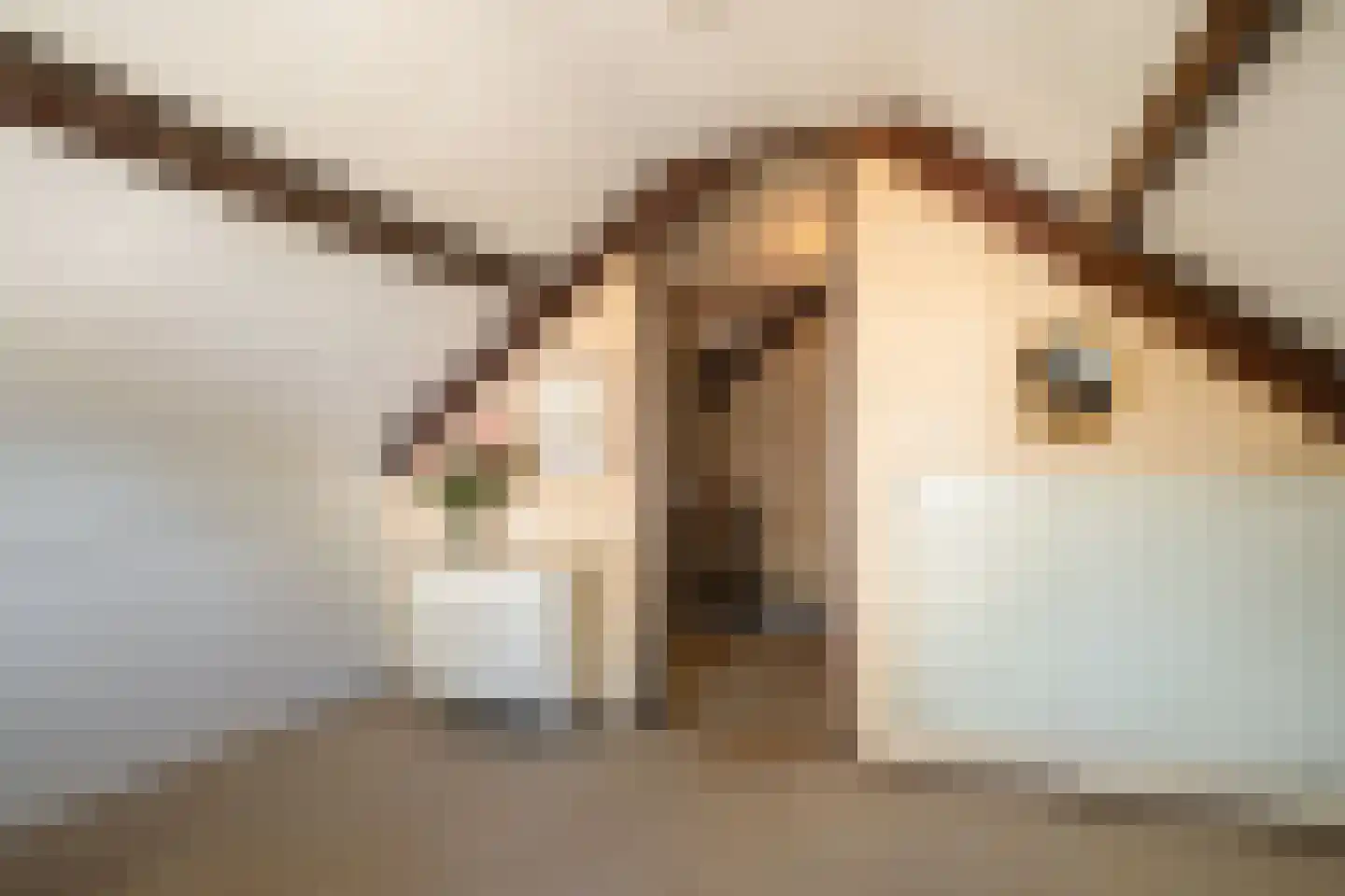 Richterstraat 35 Losser thumbnail 39