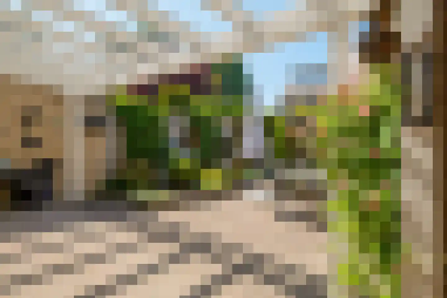 Richterstraat 35 Losser thumbnail 45