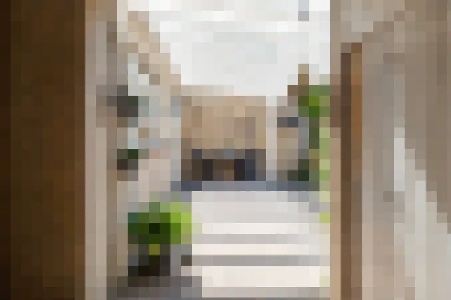 Richterstraat 35 Losser thumbnail 46