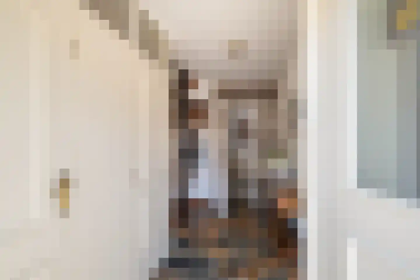 Richterstraat 35 Losser thumbnail 7