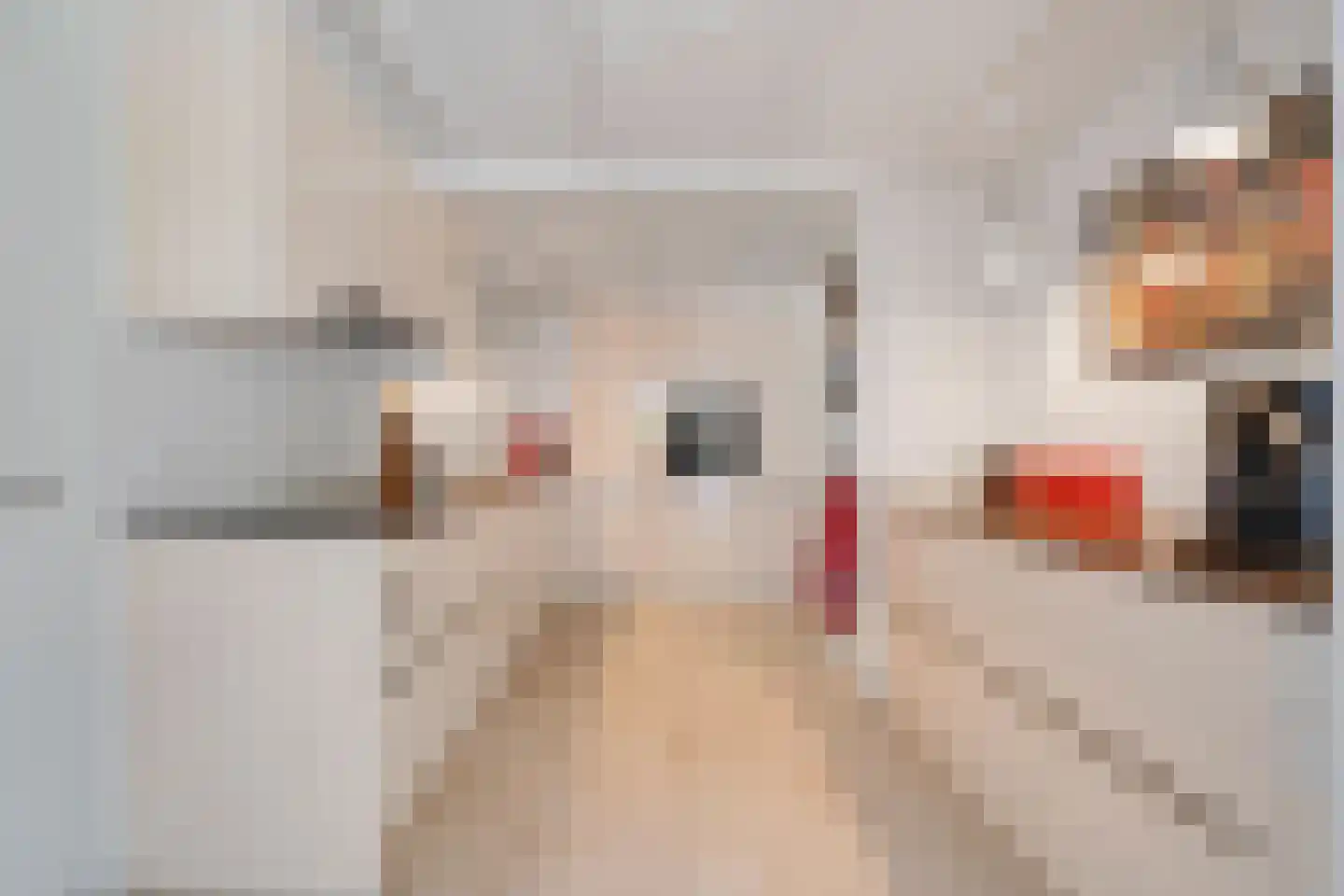Richterstraat 40 Losser thumbnail 11