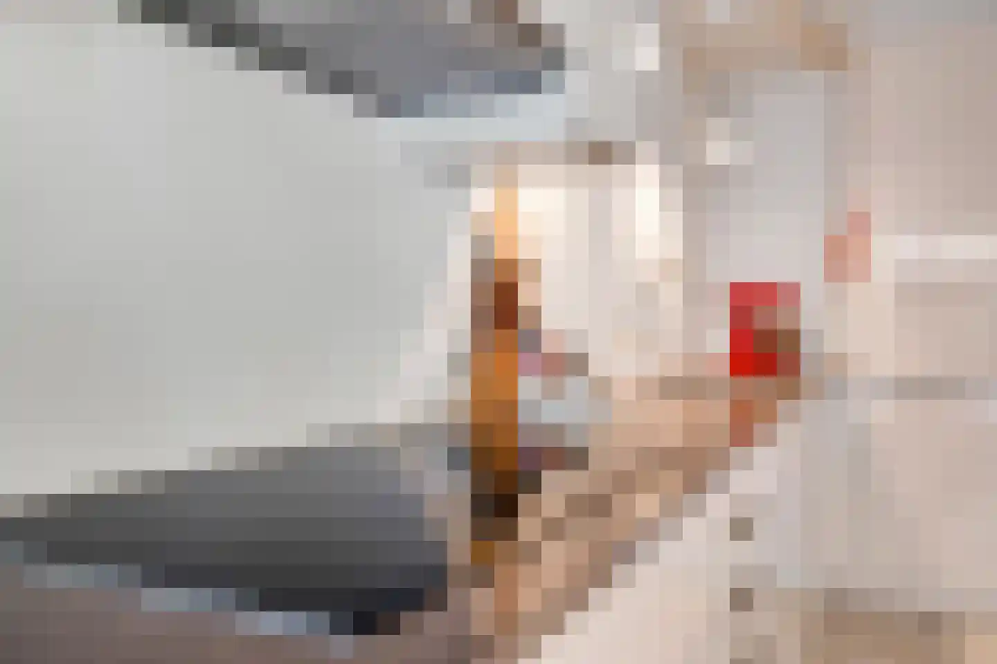 Richterstraat 40 Losser thumbnail 12