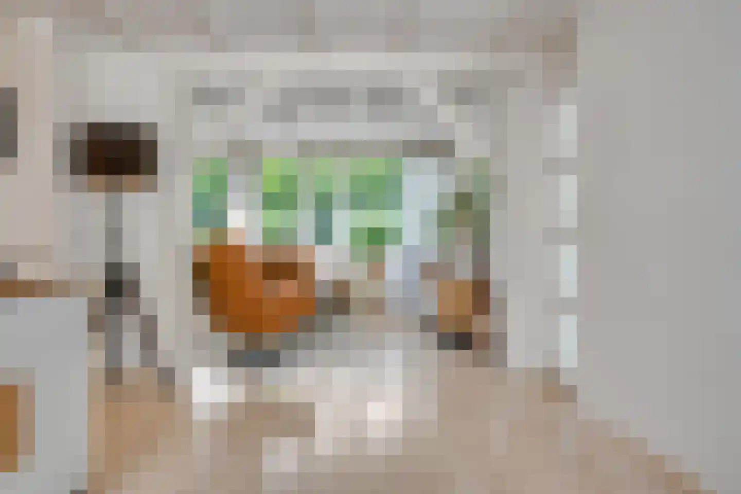Richterstraat 40 Losser thumbnail 16