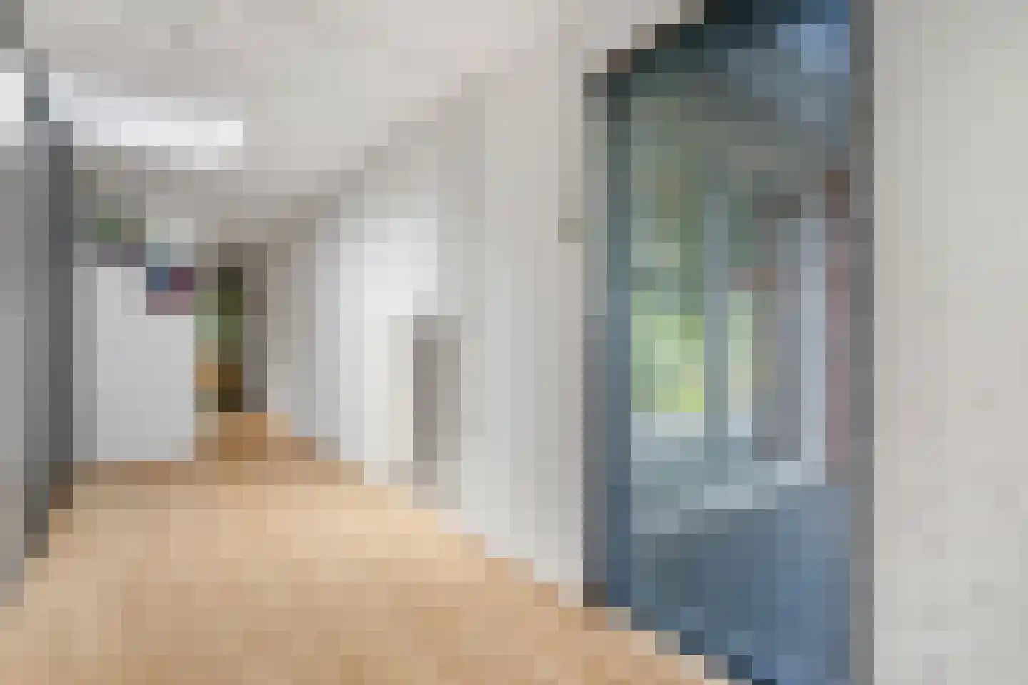 Richterstraat 40 Losser thumbnail 21