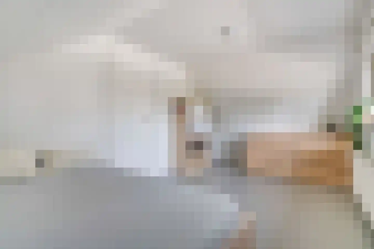 Richterstraat 40 Losser thumbnail 31