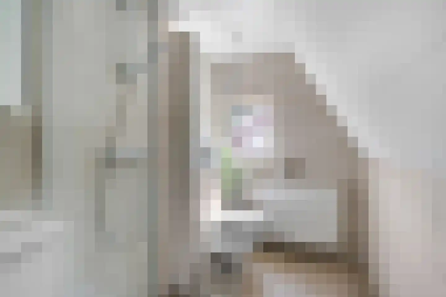 Richterstraat 40 Losser thumbnail 34