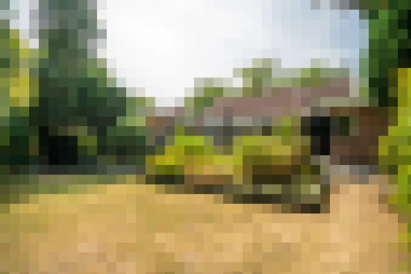 Richterstraat 40 Losser thumbnail 38
