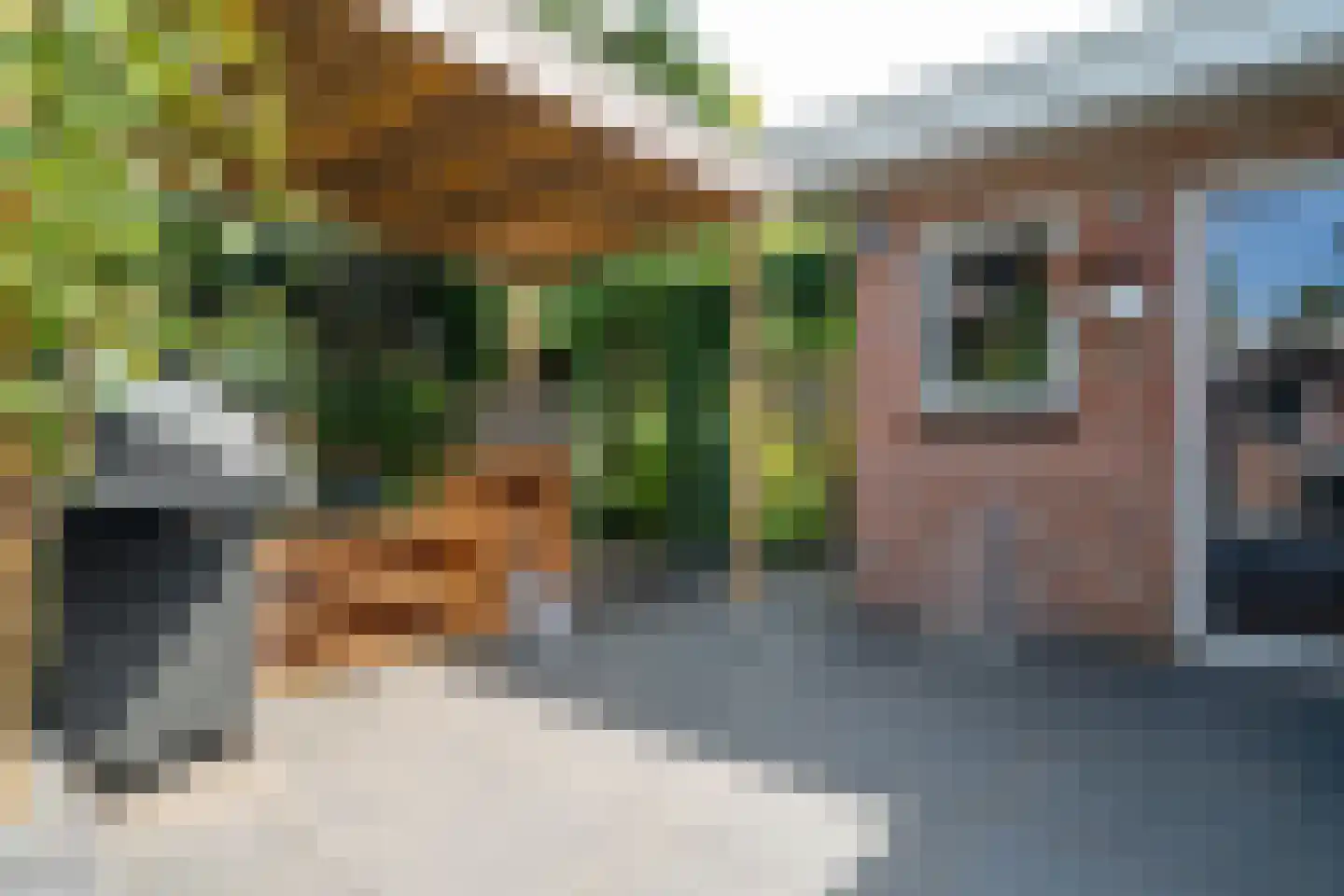 Richterstraat 40 Losser thumbnail 39