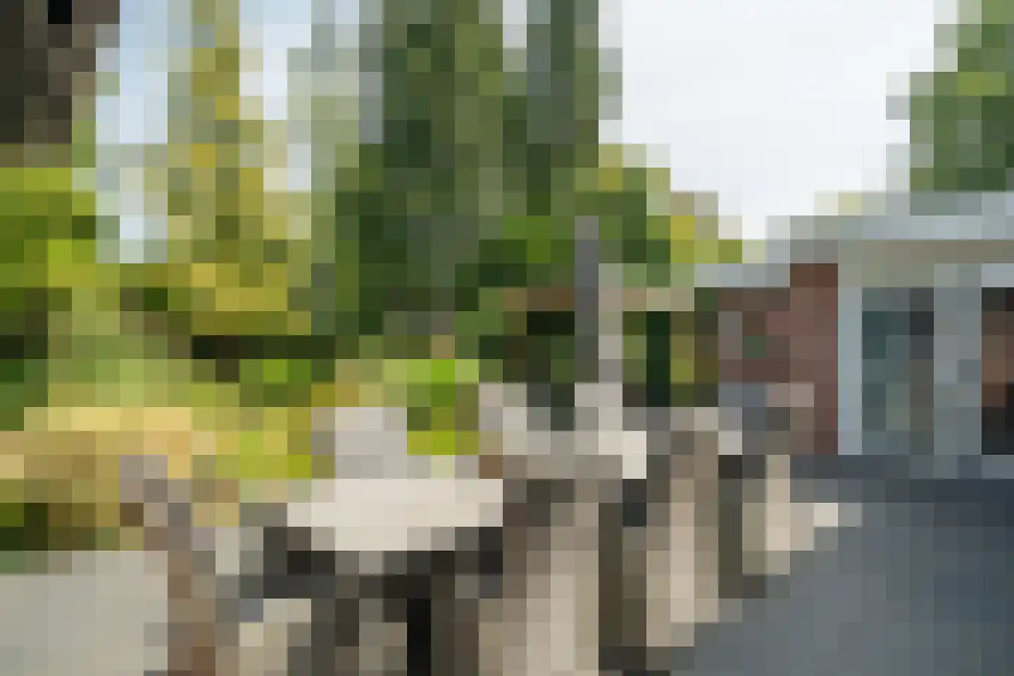 Richterstraat 40 Losser thumbnail 42