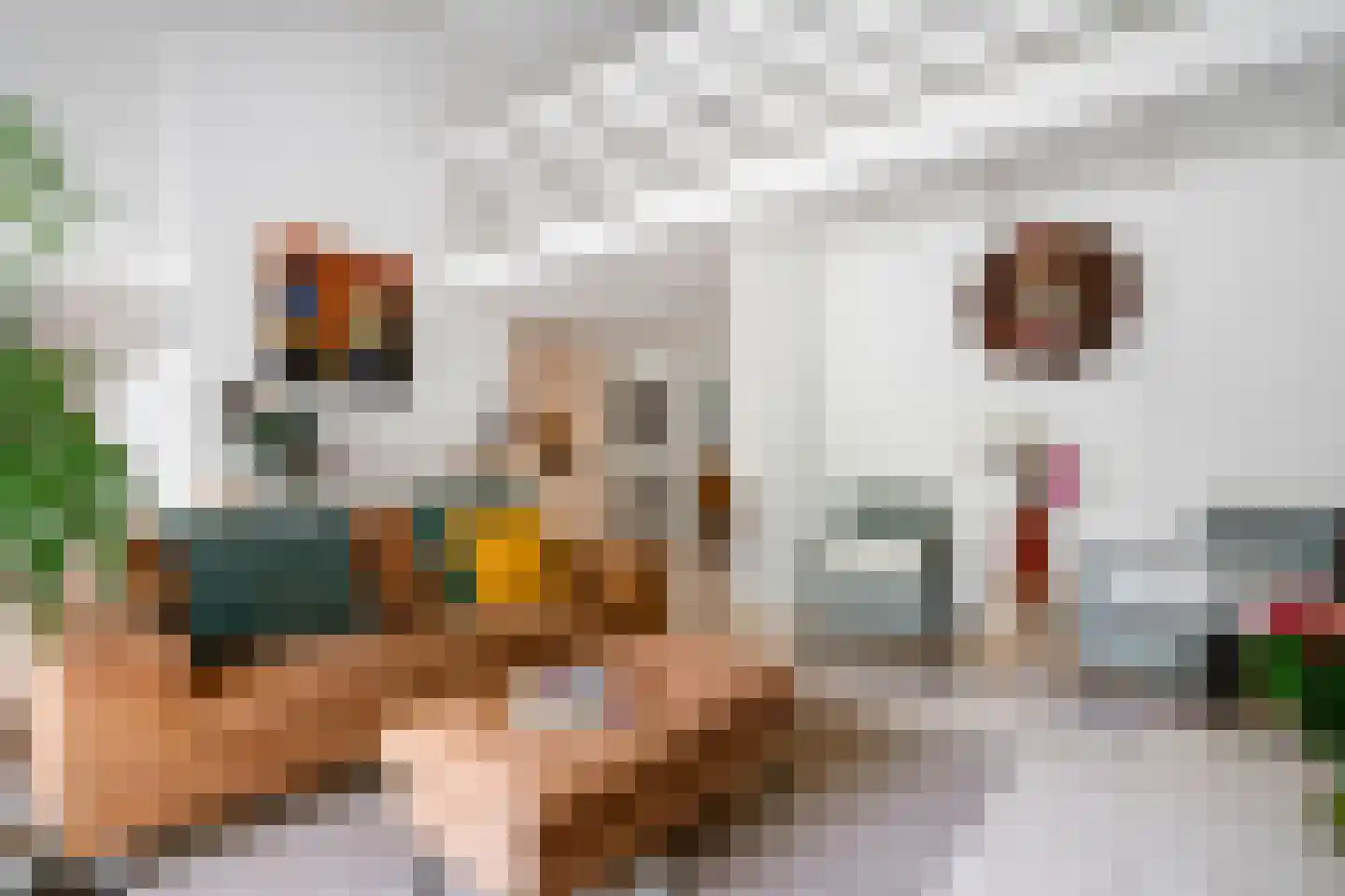 Richterstraat 40 Losser thumbnail 6