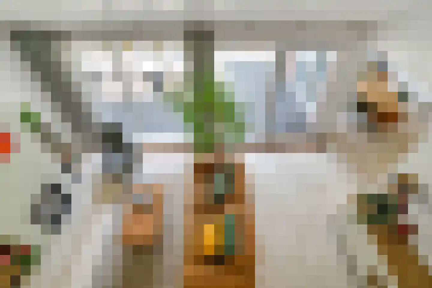 Richterstraat 40 Losser thumbnail 9