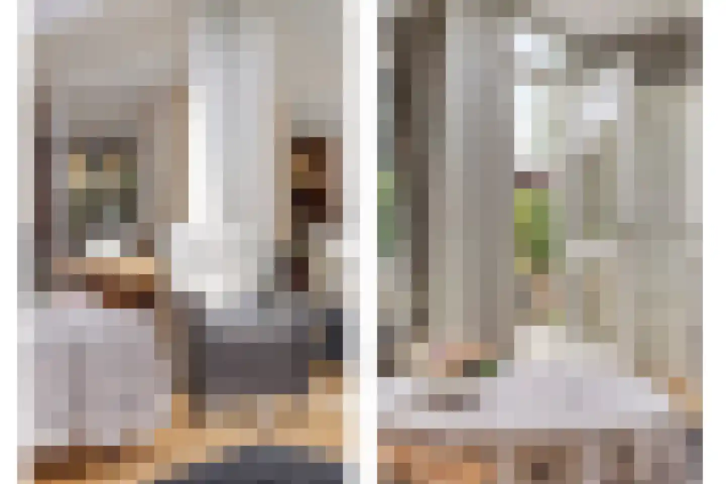 Richterstraat 67 Losser thumbnail 20