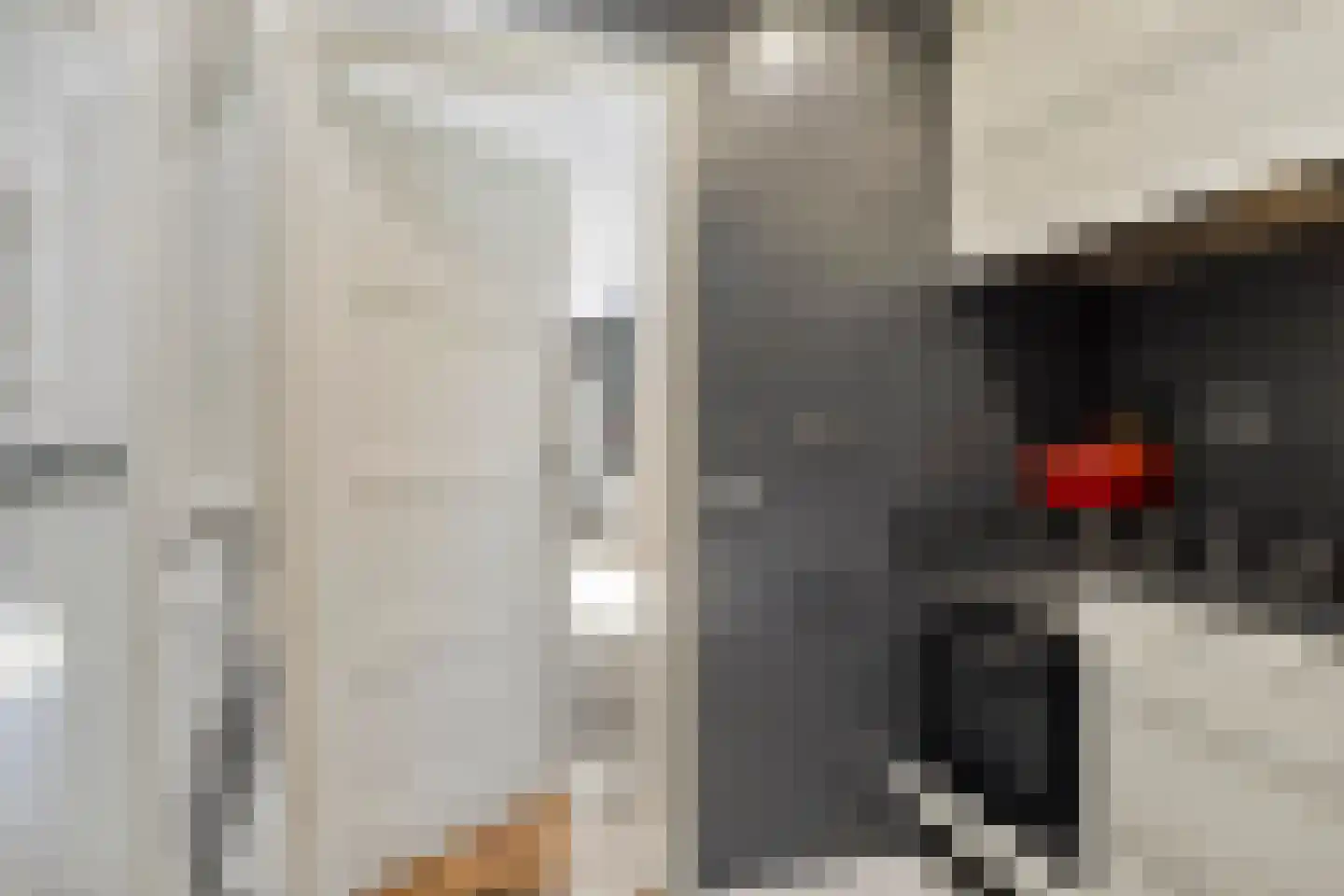 Richterstraat 67 Losser thumbnail 25