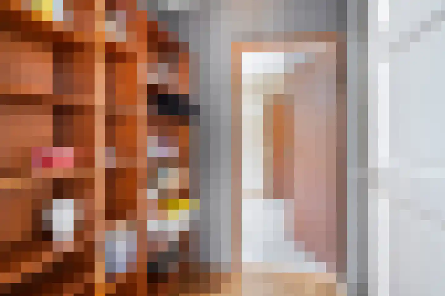 Richterstraat 67 Losser thumbnail 28
