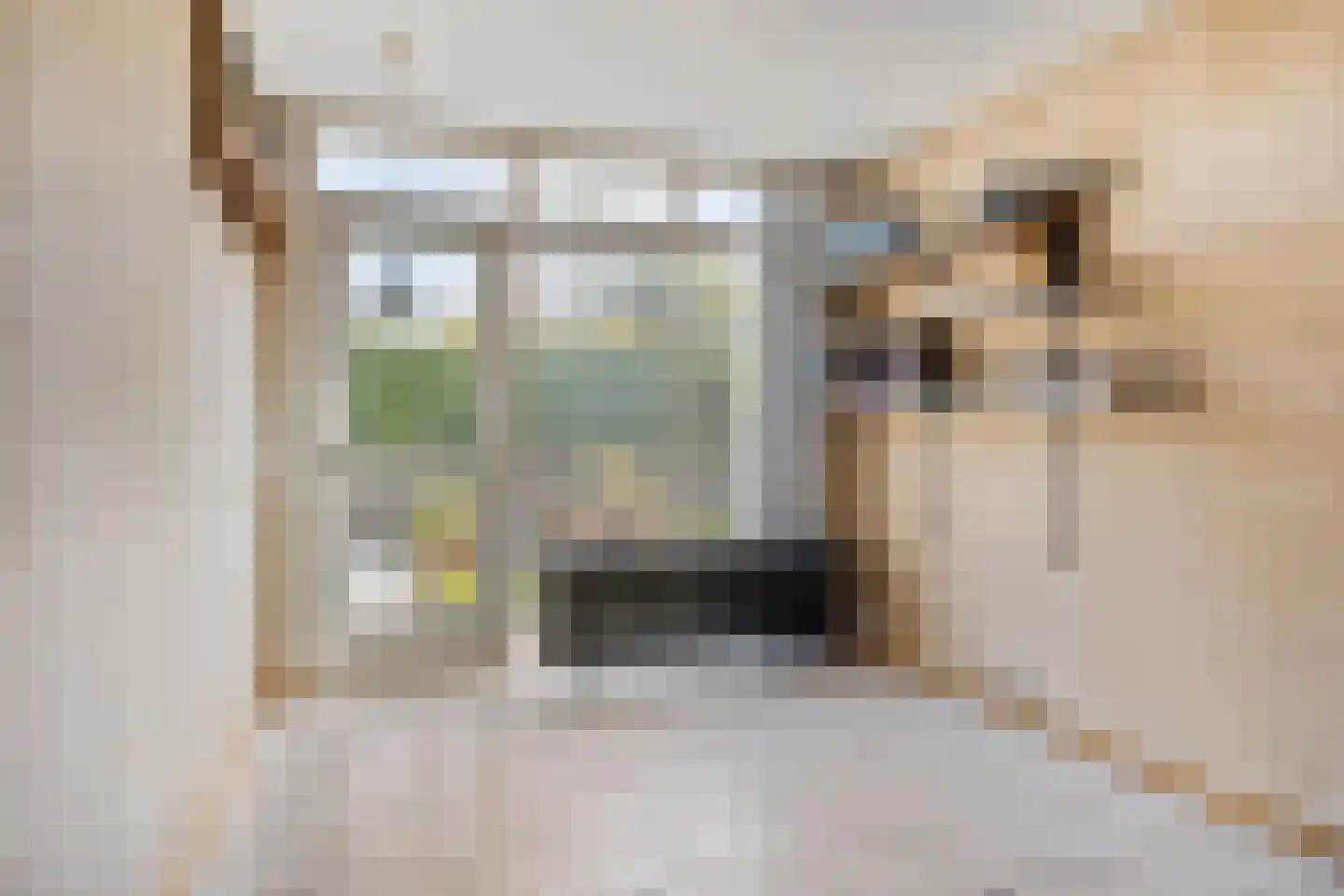Richterstraat 67 Losser thumbnail 29