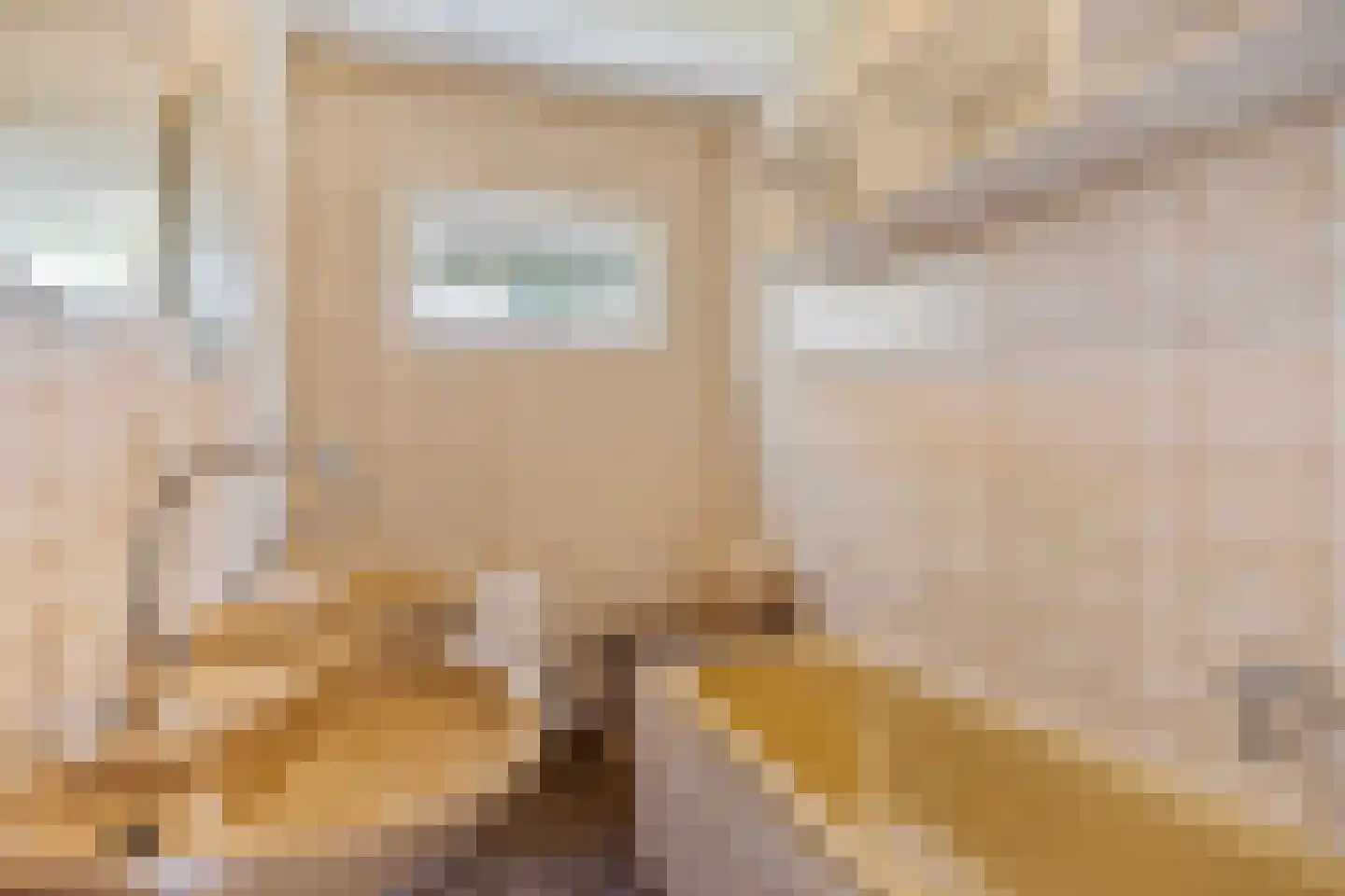Richterstraat 67 Losser thumbnail 31