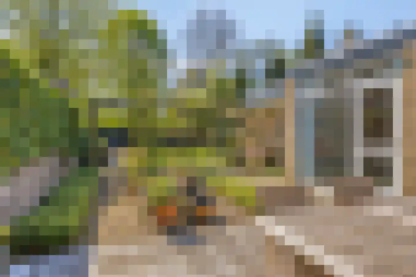 Richterstraat 67 Losser thumbnail 46