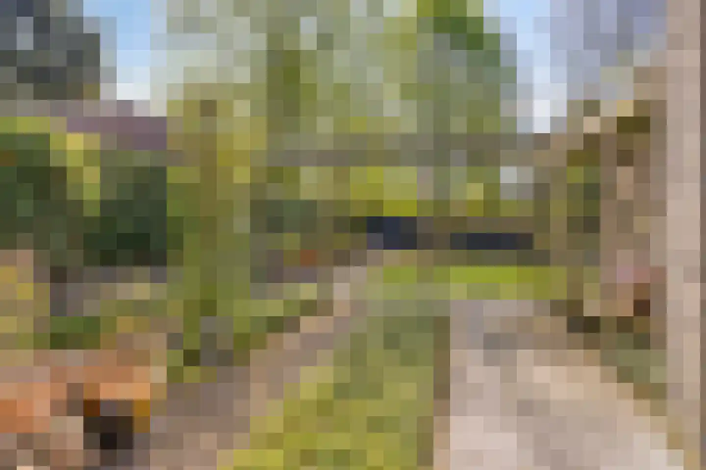 Richterstraat 67 Losser thumbnail 47